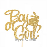 Boy or Girl Cake Topper