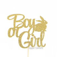Boy or Girl Cake Topper