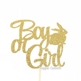 Boy or Girl Cake Topper