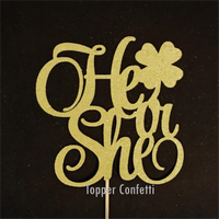 He or She Cake Topper